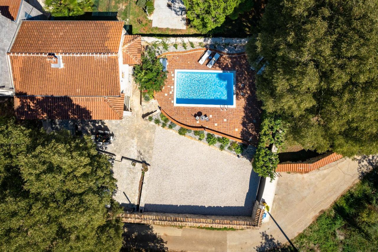 Villa Arboretum Poreč Extérieur photo
